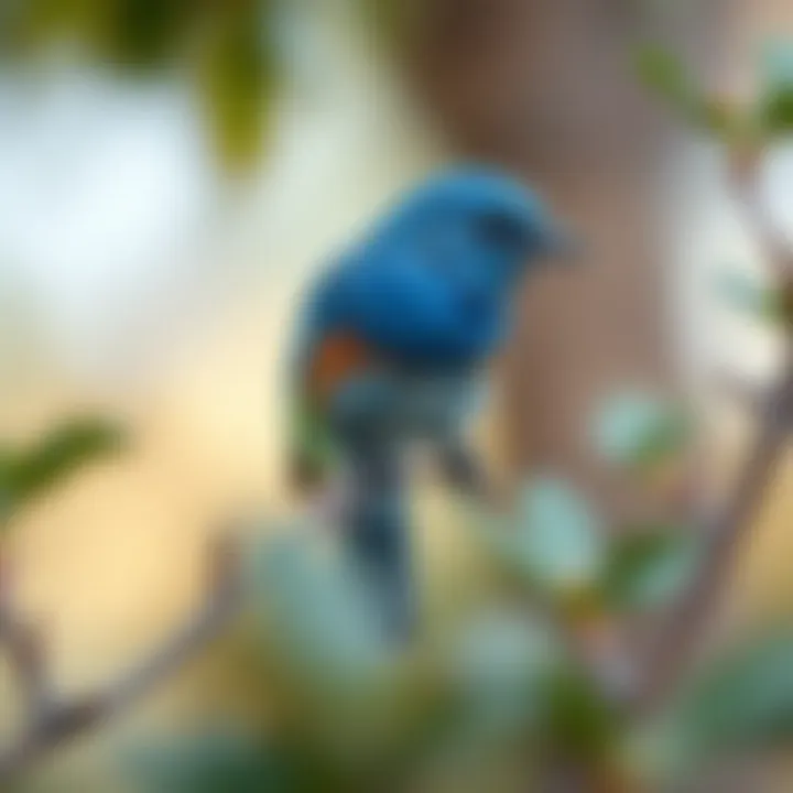 An enchanting portrayal of a bluebird perched on a branch, symbolizing freedom and beauty.