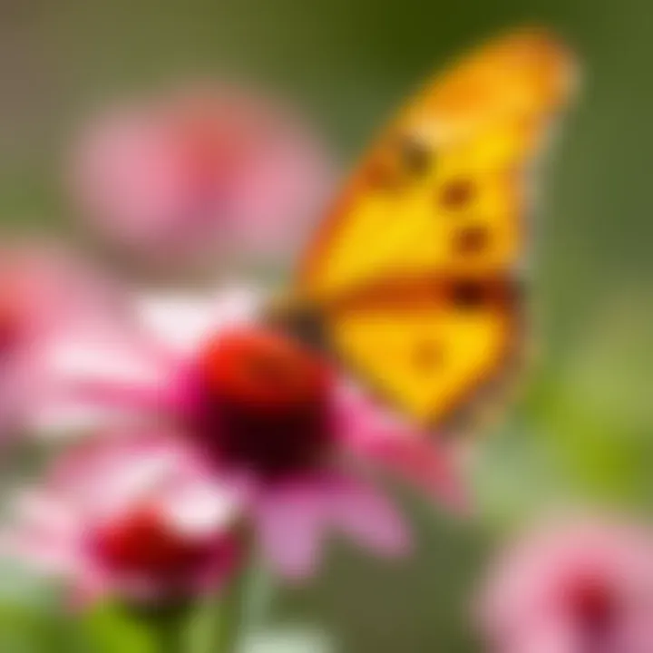 An intriguing visualization of a butterfly resting on a flower, highlighting its delicate beauty.