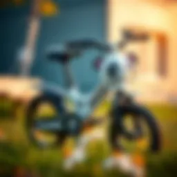 A panda-themed baby bicycle designed for early childhood development.