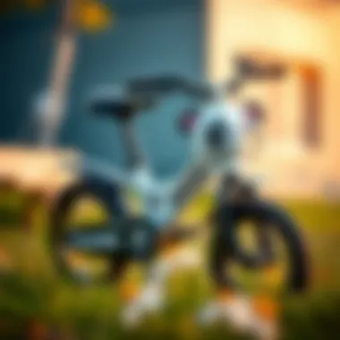 A panda-themed baby bicycle designed for early childhood development.