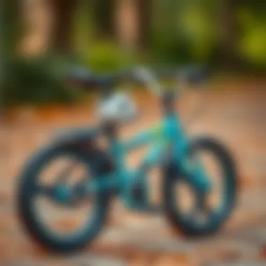 A guide on selecting the perfect panda bicycle for toddlers.