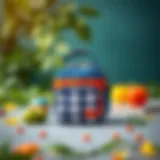 Stylish lunch bag for boys