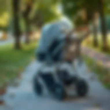 Navigating Comfortably Spacious stroller with large wheels navigating a park path