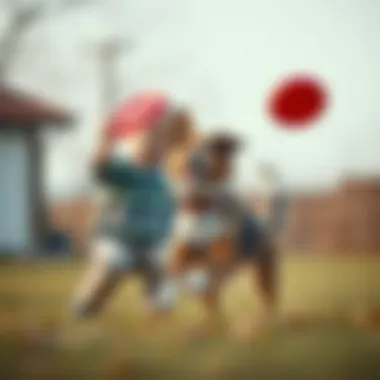 A child and a dog playing together with a frisbee