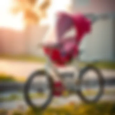 Safety features of a bicycle stroller