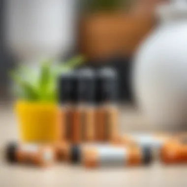 Eco-friendly alternatives next to Duracell batteries