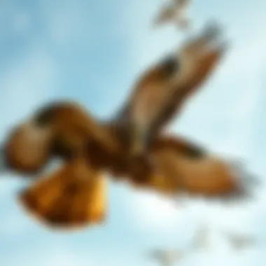 A majestic hawk soaring through the sky