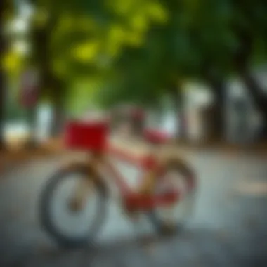 Notable İlk Adım Bisikleti: Çocuk Gelişimi İçin Önemi