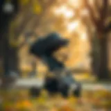 A stylish and functional foldable stroller in a park setting.