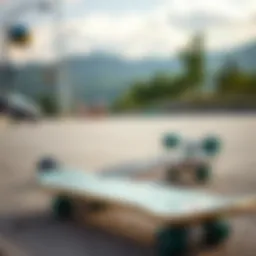 Skateboard resting on the ground with a scenic background
