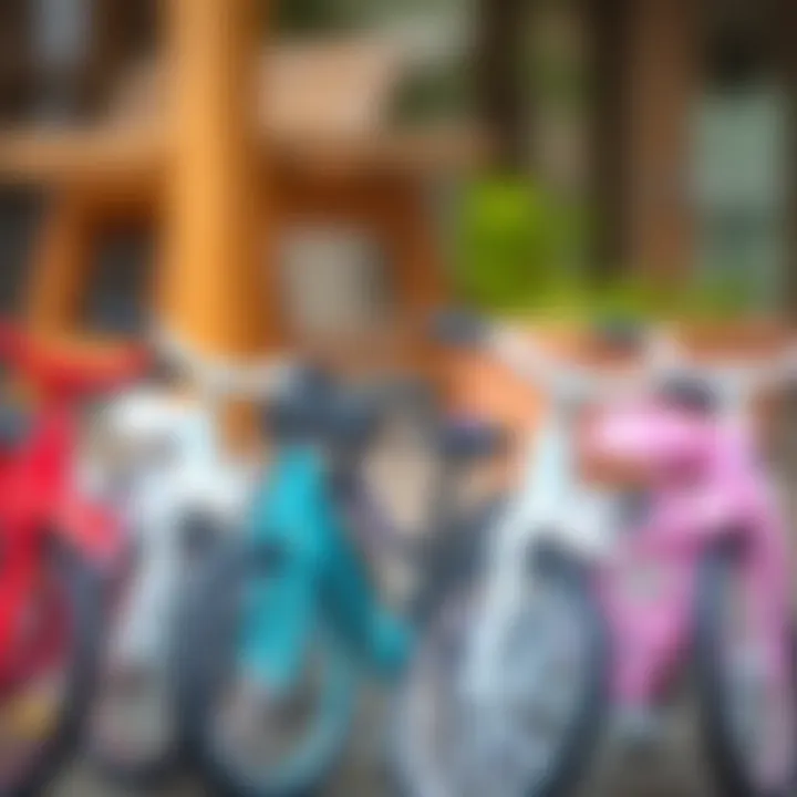 Exploring Various Bicycle Types Different types of girls' bicycles lined up