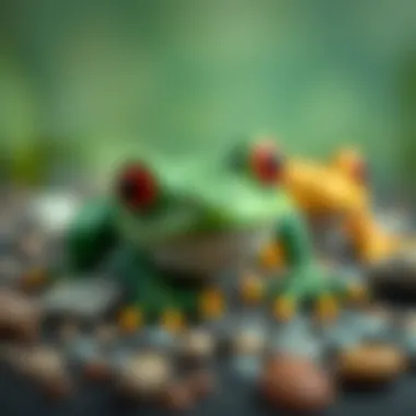 Materials Used in Frog Toy Design Materials used in designing frog toys