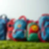 A variety of school bags of different sizes lined up