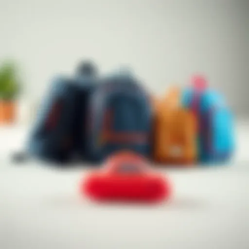 A variety of school bags arranged aesthetically