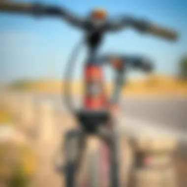 Close-up of bicycle features and safety mechanisms