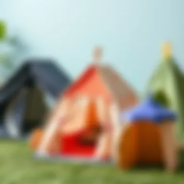 Diverse Outdoor Tent Styles for Children Different styles of outdoor children's tents displayed together