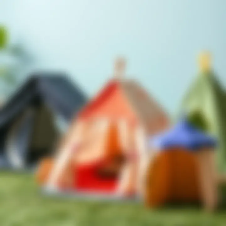 Diverse Outdoor Tent Styles for Children Different styles of outdoor children's tents displayed together