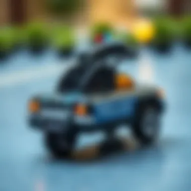 Educational benefits of dolphin police car